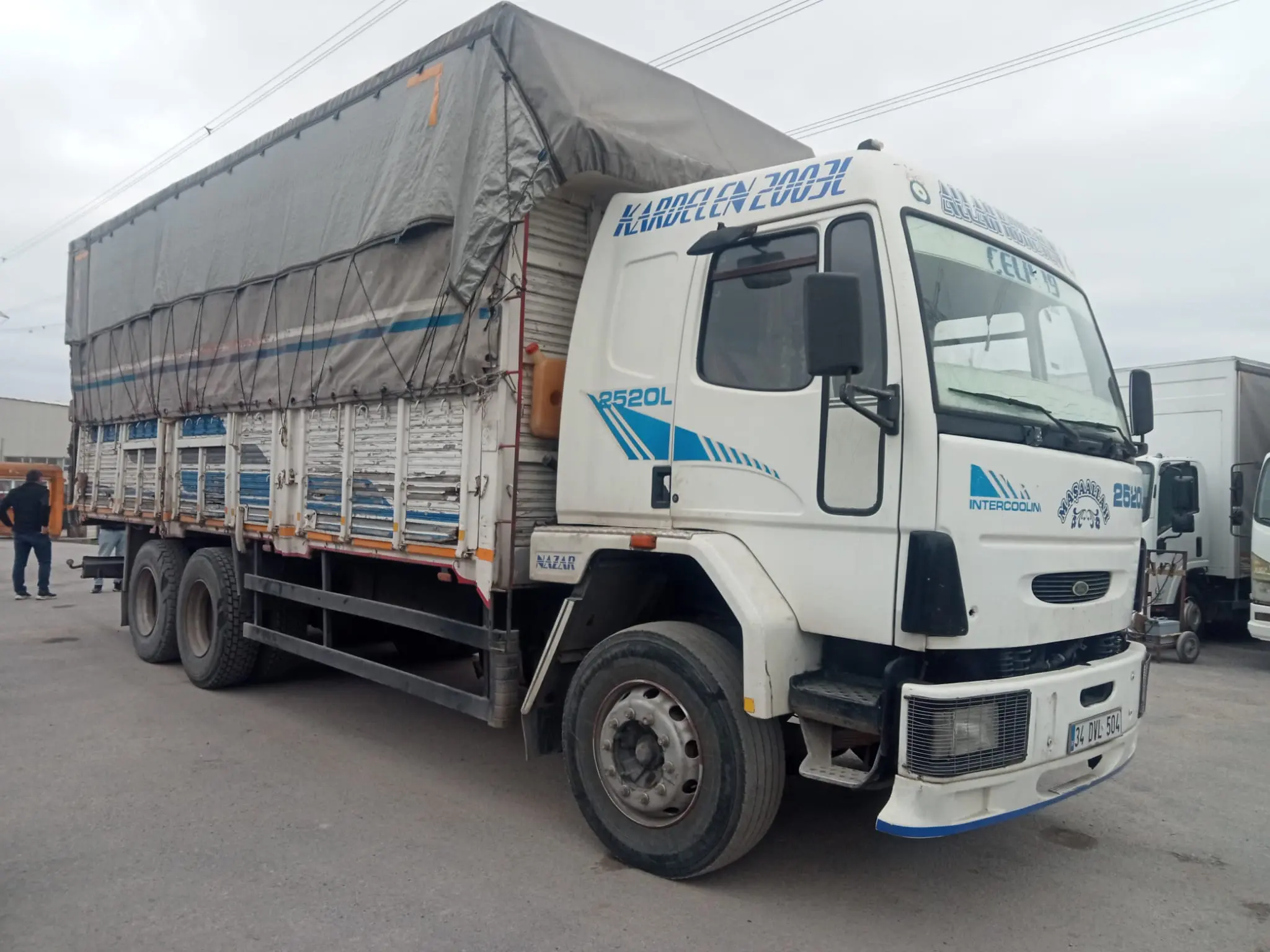 Ford Cargo 2520L / Kamyon